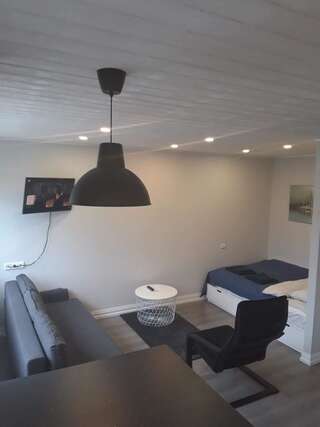 Апартаменты Alytus Ziburio studio Алитус-4